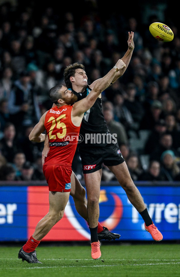 AFL 2025 Round 24 - Port Adelaide v Gold Coast - A-61652651