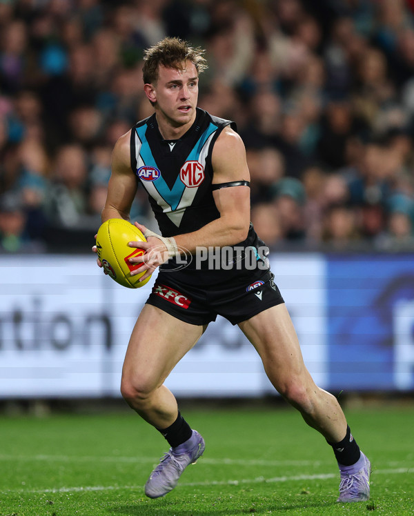 AFL 2025 Round 24 - Port Adelaide v Gold Coast - A-61660095