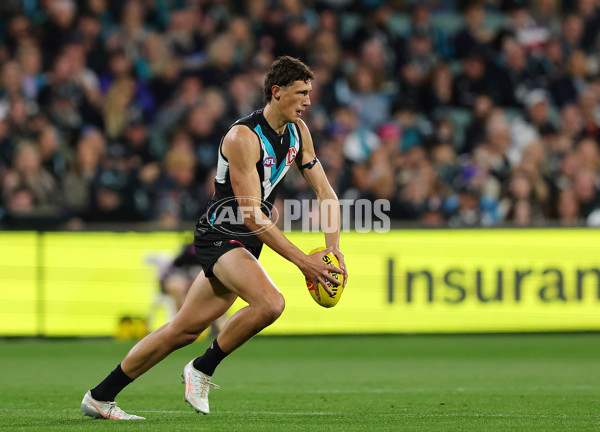 AFL 2025 Round 24 - Port Adelaide v Gold Coast - A-61662446