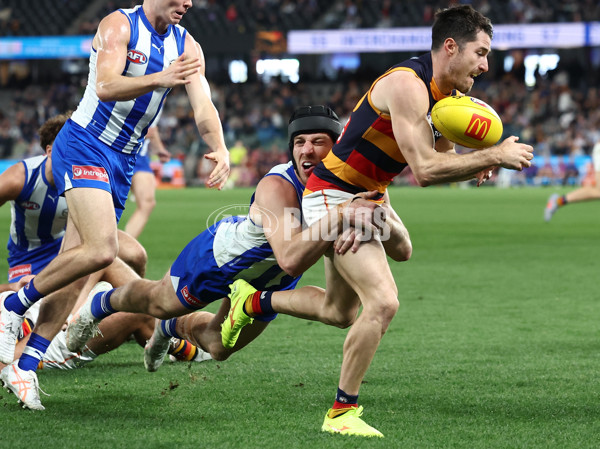 AFL 2025 Round 24 - North Melbourne v Adelaide - A-61667954