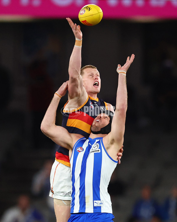 AFL 2025 Round 24 - North Melbourne v Adelaide - A-61668689