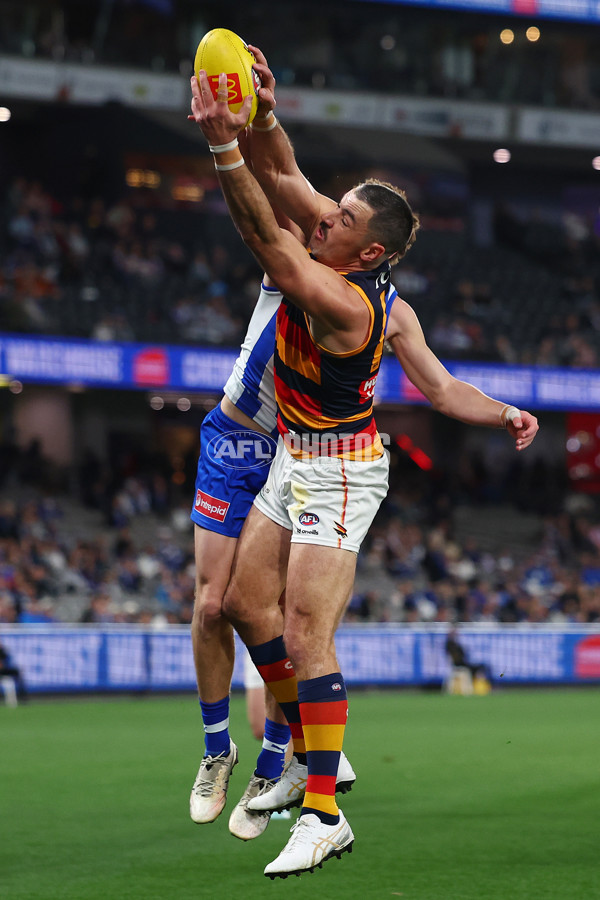 AFL 2025 Round 24 - North Melbourne v Adelaide - A-61668715
