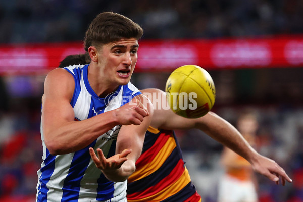 AFL 2025 Round 24 - North Melbourne v Adelaide - A-61668719