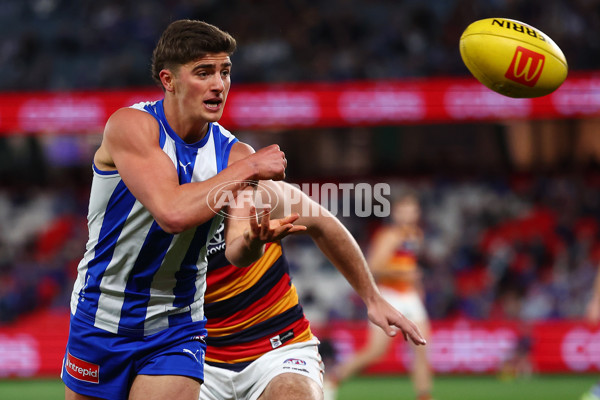 AFL 2025 Round 24 - North Melbourne v Adelaide - A-61668722