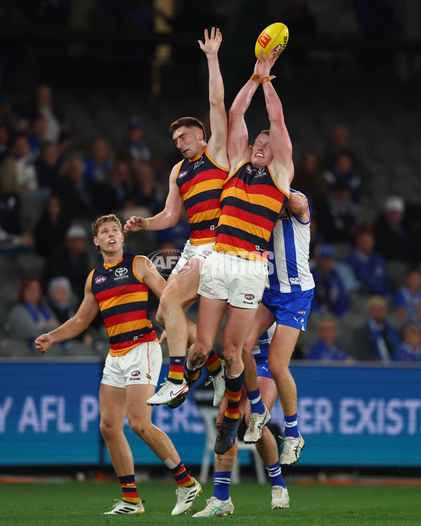 AFL 2025 Round 24 - North Melbourne v Adelaide - A-61668755