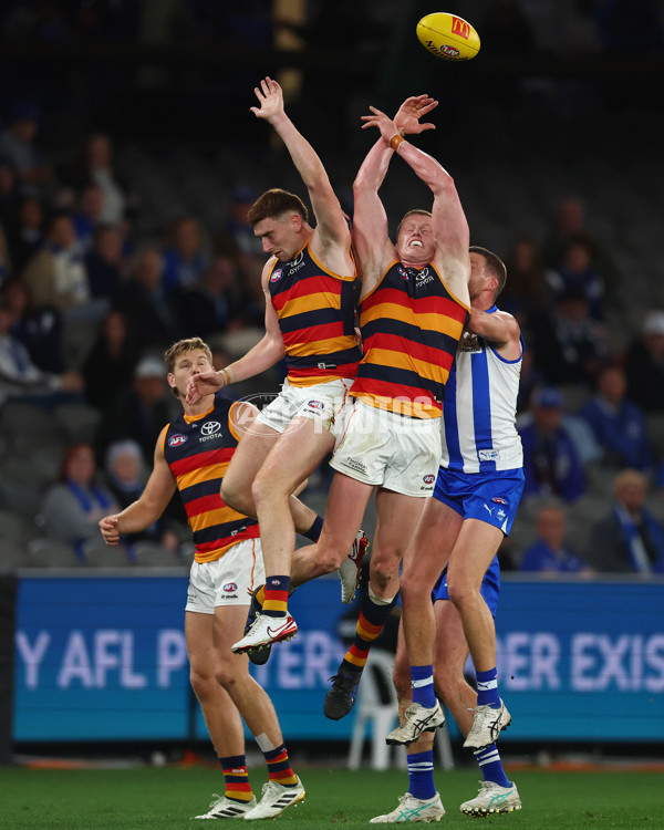 AFL 2025 Round 24 - North Melbourne v Adelaide - A-61668760
