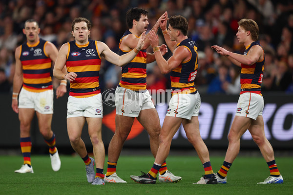 AFL 2025 Round 24 - North Melbourne v Adelaide - A-61670706