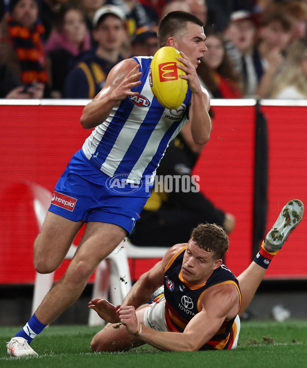 AFL 2025 Round 24 - North Melbourne v Adelaide - A-61670787