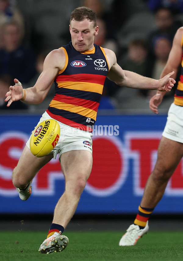 AFL 2025 Round 24 - North Melbourne v Adelaide - A-61671024