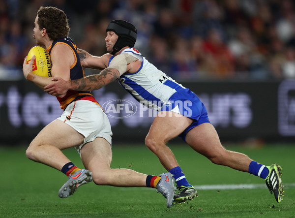 AFL 2025 Round 24 - North Melbourne v Adelaide - A-61671078