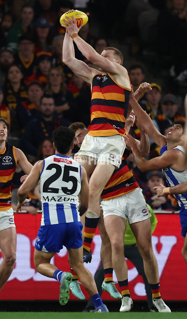 AFL 2025 Round 24 - North Melbourne v Adelaide - A-61671091