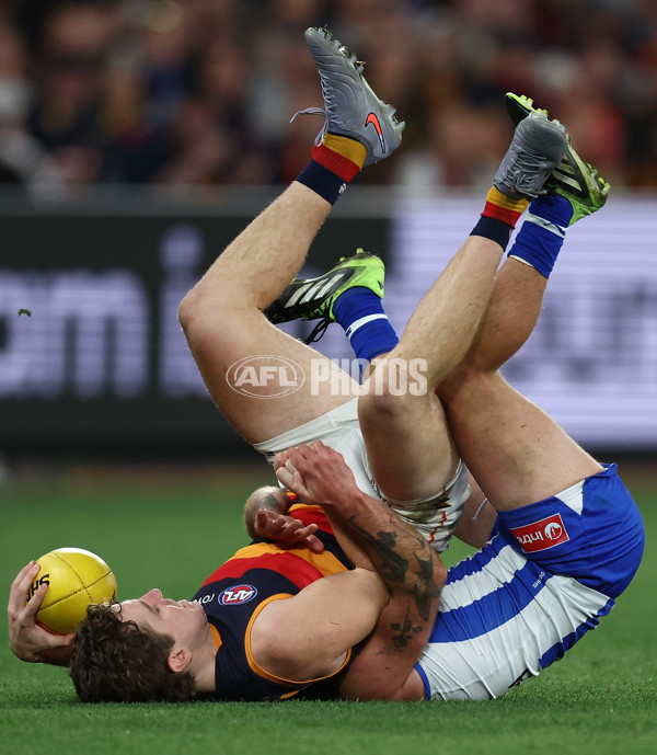 AFL 2025 Round 24 - North Melbourne v Adelaide - A-61673353