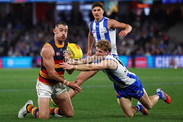 AFL 2025 Round 24 - North Melbourne v Adelaide - A-61673424