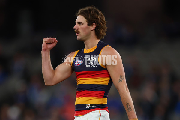 AFL 2025 Round 24 - North Melbourne v Adelaide - A-61675907