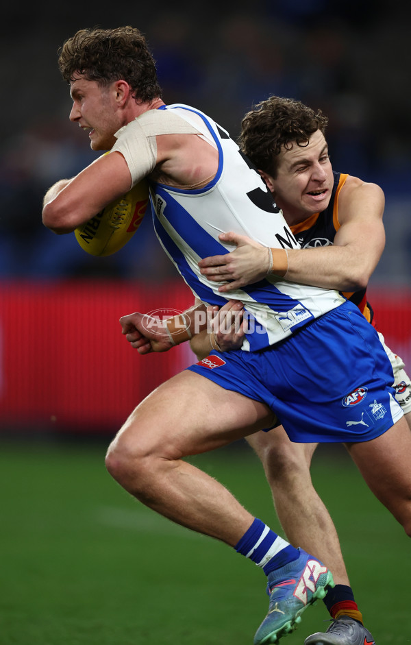 AFL 2025 Round 24 - North Melbourne v Adelaide - A-61677643