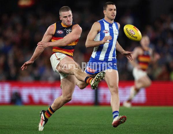 AFL 2025 Round 24 - North Melbourne v Adelaide - A-61677644