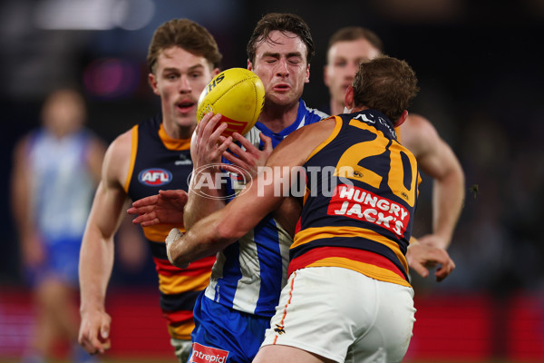 AFL 2025 Round 24 - North Melbourne v Adelaide - A-61678409