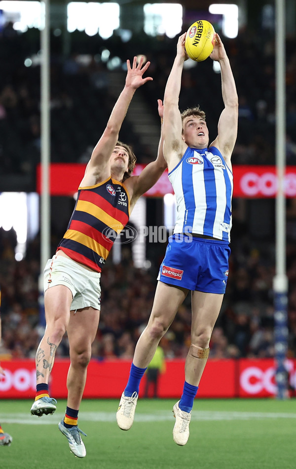 AFL 2025 Round 24 - North Melbourne v Adelaide - A-61680056