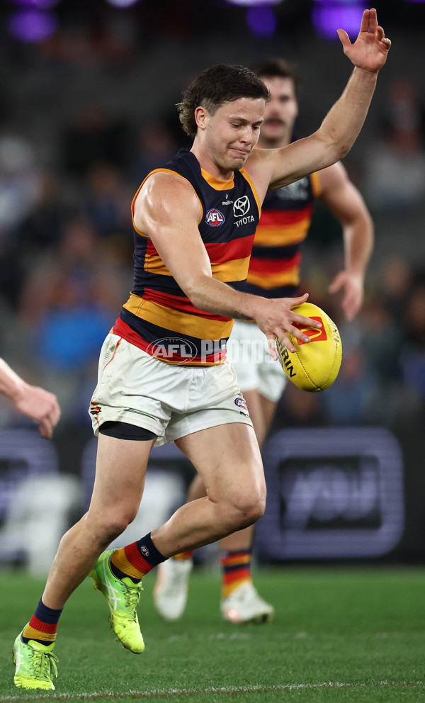 AFL 2025 Round 24 - North Melbourne v Adelaide - A-61681573