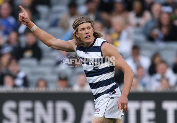 AFL 2025 Round 24 - Richmond v Geelong - A-61684083