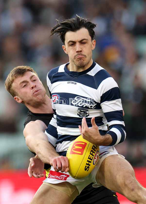AFL 2025 Round 24 - Richmond v Geelong - A-61685745