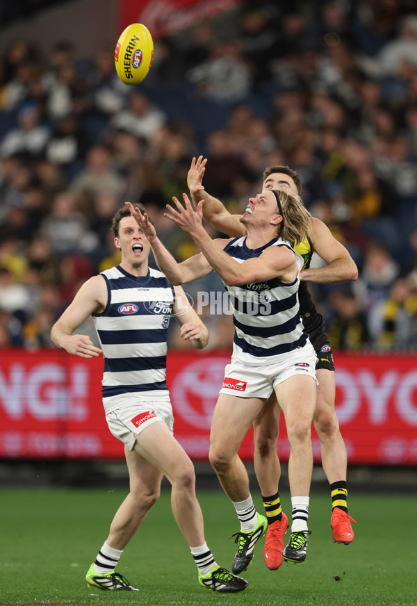AFL 2025 Round 24 - Richmond v Geelong - A-61691041