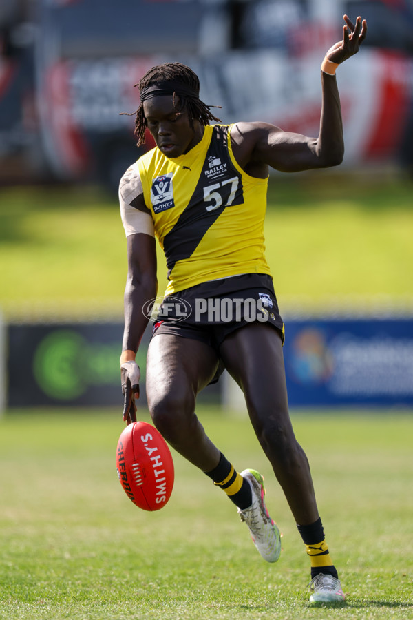 VFL 2025 Wildcard Final - Richmond v GWS - A-61694327