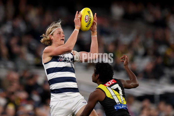 AFL 2025 Round 24 - Richmond v Geelong - A-61700084