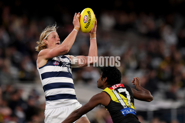 AFL 2025 Round 24 - Richmond v Geelong - A-61700088