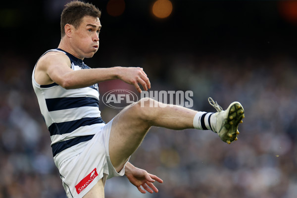 AFL 2025 Round 24 - Richmond v Geelong - A-61701133