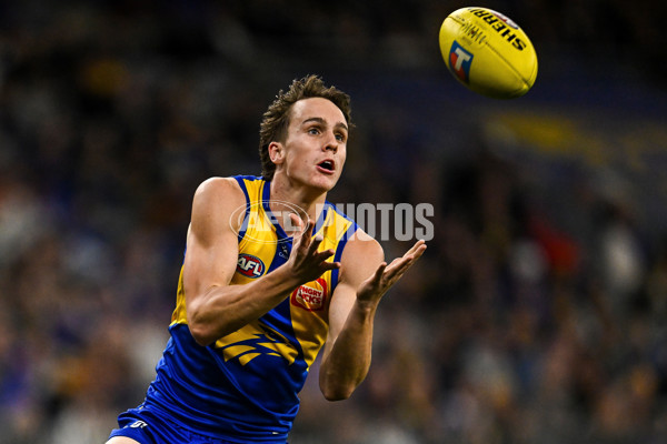 AFL 2025 Round 24 - West Coast v Sydney - A-61703965