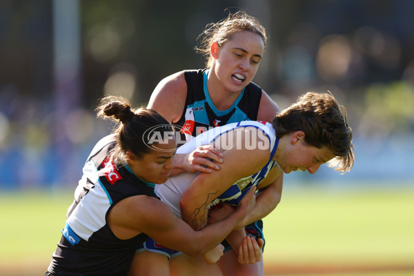 AFLW 2025 Round 02 - North Melbourne v Port Adelaide - A-61729112