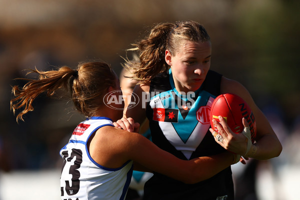 AFLW 2025 Round 02 - North Melbourne v Port Adelaide - A-61729690