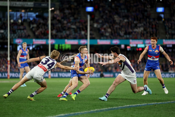 AFL 2025 Round 24 - Western Bulldogs v Fremantle - A-61733163