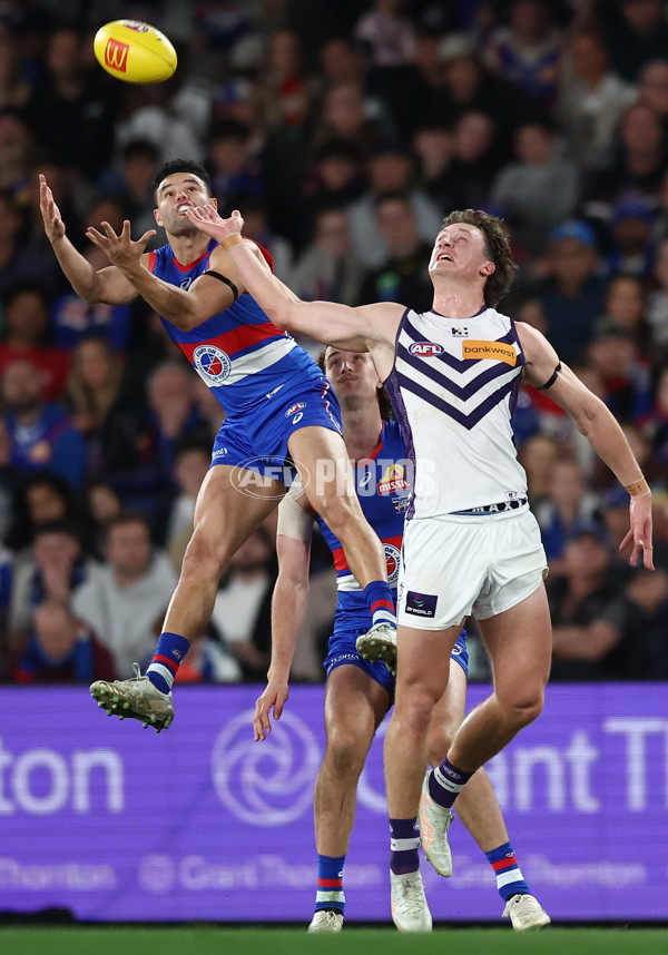 AFL 2025 Round 24 - Western Bulldogs v Fremantle - A-61739571