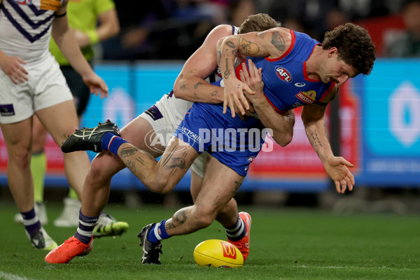 AFL 2025 Round 24 - Western Bulldogs v Fremantle - A-61739573