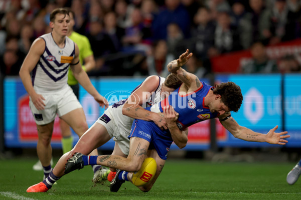 AFL 2025 Round 24 - Western Bulldogs v Fremantle - A-61739751