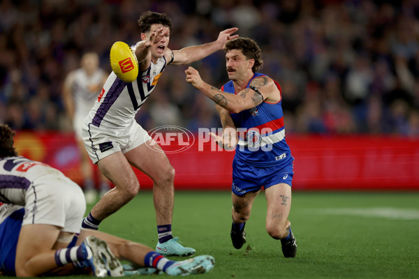 AFL 2025 Round 24 - Western Bulldogs v Fremantle - A-61739763
