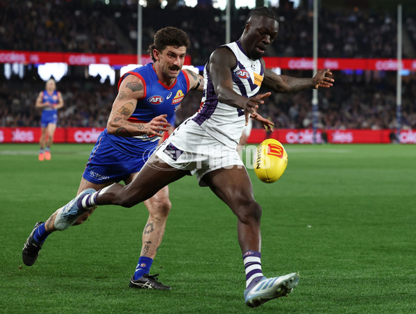 AFL 2025 Round 24 - Western Bulldogs v Fremantle - A-61743127