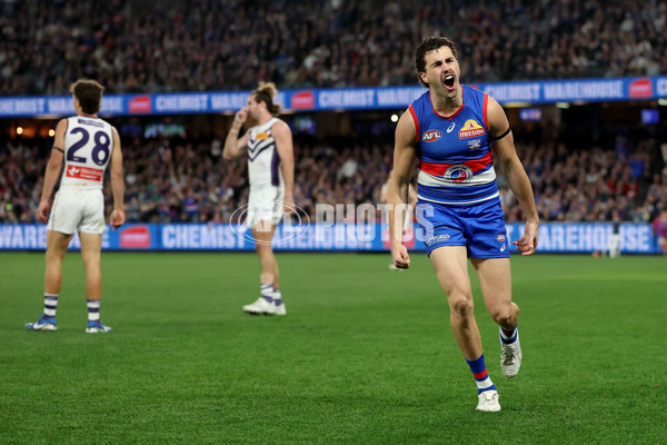 AFL 2025 Round 24 - Western Bulldogs v Fremantle - A-61743149