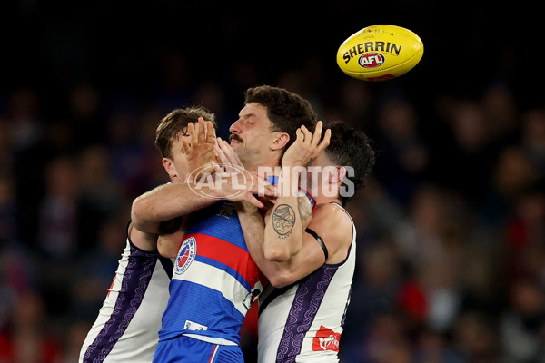 AFL 2025 Round 24 - Western Bulldogs v Fremantle - A-61744759