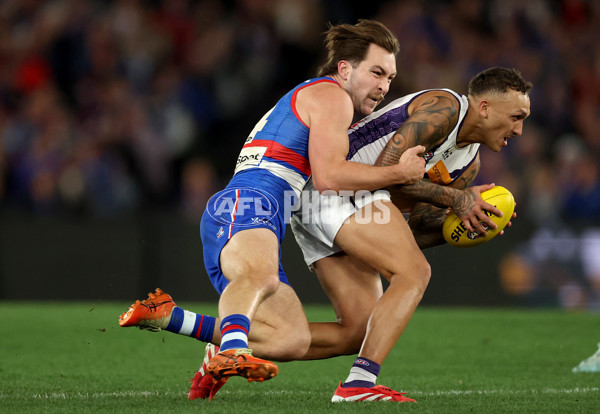 AFL 2025 Round 24 - Western Bulldogs v Fremantle - A-61746347