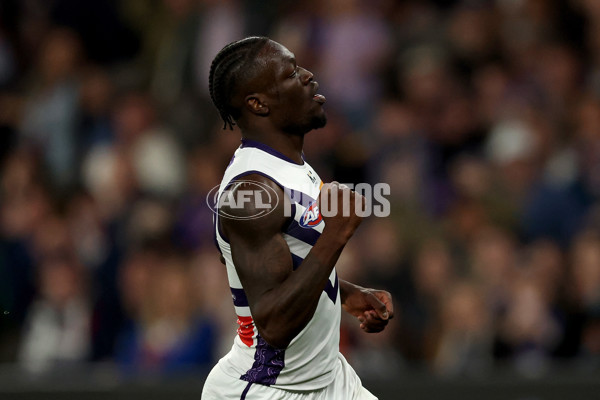AFL 2025 Round 24 - Western Bulldogs v Fremantle - A-61748836