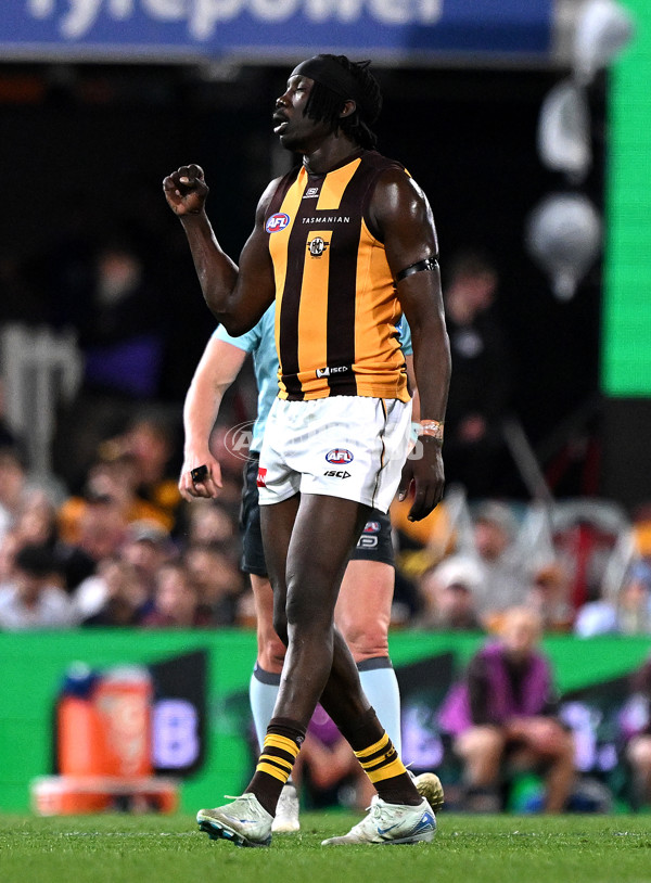 AFL 2025 Round 24 - Brisbane v Hawthorn - A-61754471