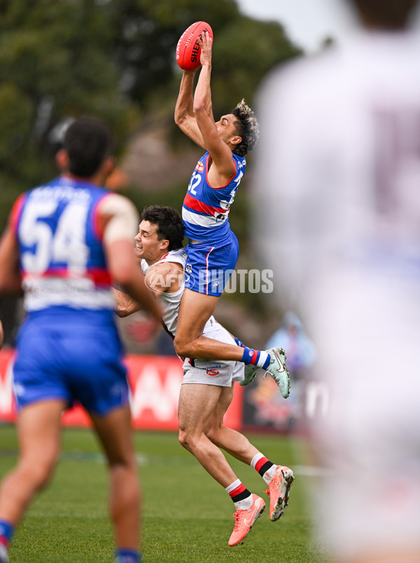 VFL 2025 Qualifying Final - Footscray Bulldogs v Frankston - A-62094332