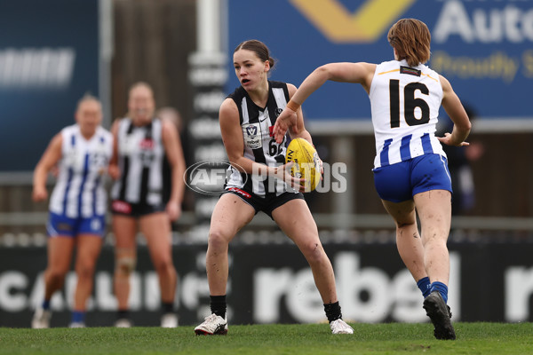 VFLW 2025 Grand Final - Collingwood v North Melbourne-Werribee - A-62099069