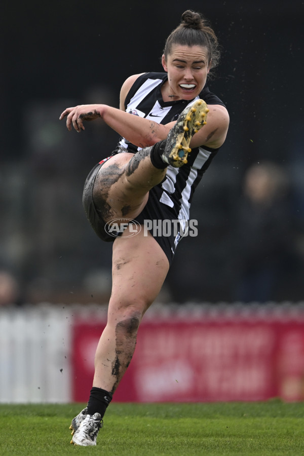 VFLW 2025 Grand Final - Collingwood v North Melbourne-Werribee - A-62099667