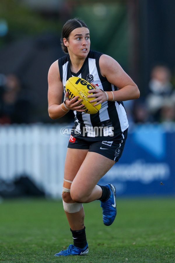 VFLW 2025 Grand Final - Collingwood v North Melbourne-Werribee - A-62108278