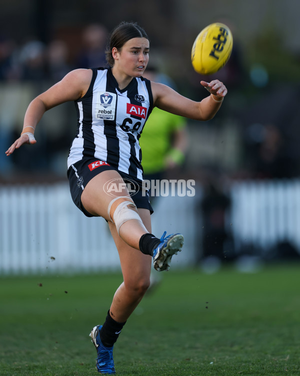 VFLW 2025 Grand Final - Collingwood v North Melbourne-Werribee - A-62108279