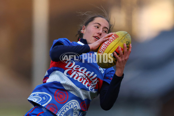 AFLW 2025 Round 03 - Western Bulldogs v Hawthorn - A-62117408
